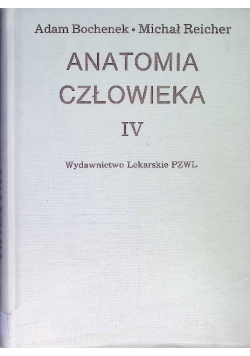 Anatomia Człowieka Tom IV