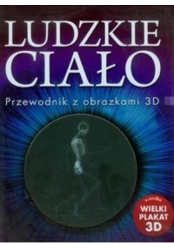 Ludzkie ciało  Przewodnik z obrazkami 3D