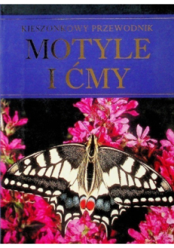 Motyle i ćmy
