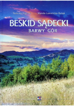 Beskid Sądecki barwy gór