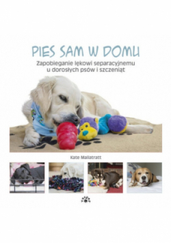 Pies sam w domu