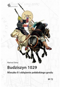 Budziszyn 1029 Mieszko II i oblężenie połabskiego grodu