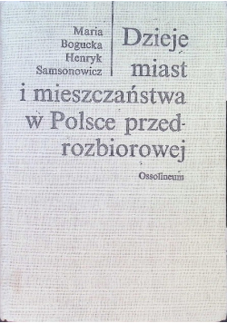Dzieje miasta i mieszczaństwa w Polsce przedrozbiorowej