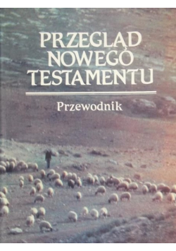 Przegląd Nowego Testamentu