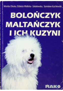 Bolończyk Maltańczyk i ich kuzyni