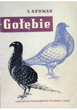 Gołębie