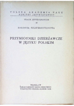 Bierne czasowniki zaimkowe w języku polskim