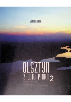 Olsztyn z lotu ptaka 2