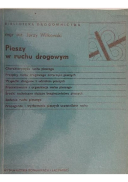 Pieszy w ruchu drogowym