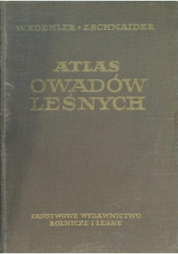 Atlas owadów leśnych