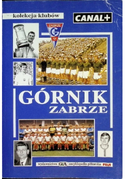 Kolekcja klubów Górnik Zabrze