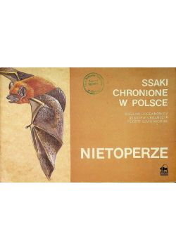 Ssaki chronione w Polsce Nietoperze