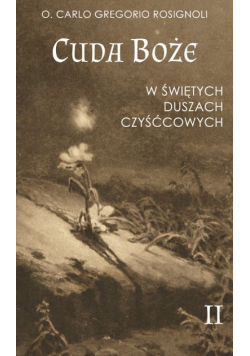 Cuda Boże w świętych duszach czyśćcowych Tom II