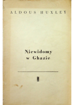 Niewidomy w Ghazie
