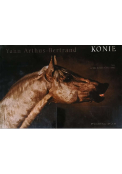 Konie