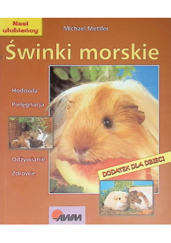 Świnki morskie
