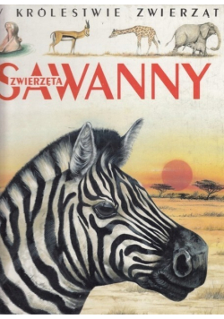 W królestwie zwierząt - Zwierzęta Sawanny