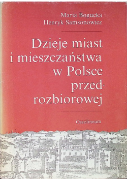 Dzieje miast i mieszczaństwa w Polsce przedrozbiorowej