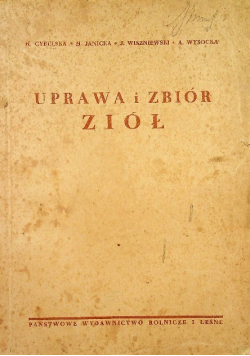 Uprawa i zbiór ziół 1950 r.