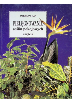 Pielęgnowanie roślin pokojowych Część II
