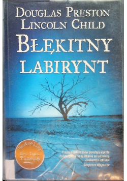Błękitny labirynt