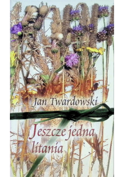 Jeszcze jedna litania