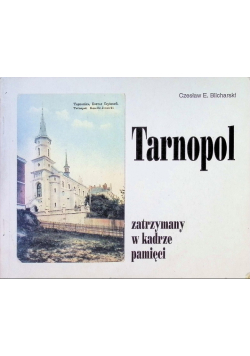 Tarnopol zatrzymany w kadrze pamięci