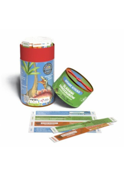 Smart Sticks Śladami dinozaurów IUVI Games