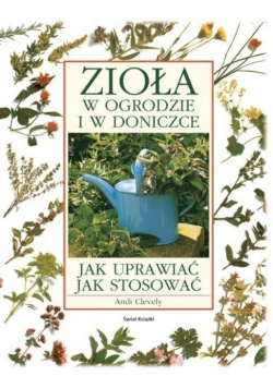 Zioła w ogrodzie w doniczce