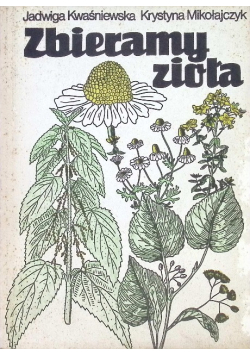 Zbieramy zioła