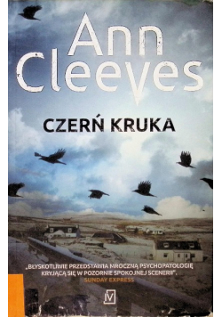Czerń kruka