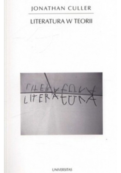 Literatura w teorii