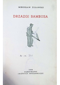 Drzazgi bambusa