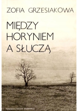 Między Horyniem a Słuczą