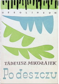 Po deszczu
