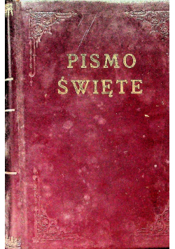 Pismo Święte Starego i Nowego Testamentu