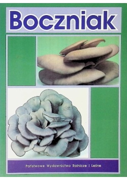 Boczniak