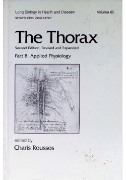 The Thorax Part B