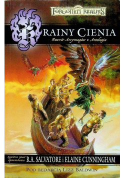 Krainy cienia