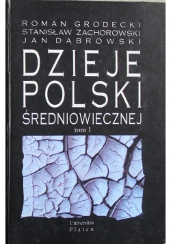 Dzieje Polski Średniowiecznej Tom II