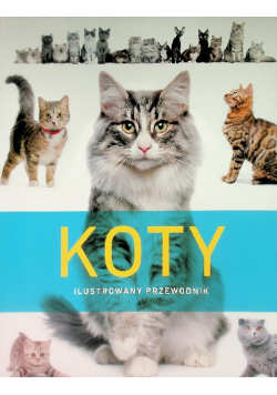 Koty Ilustrowany przewodnik