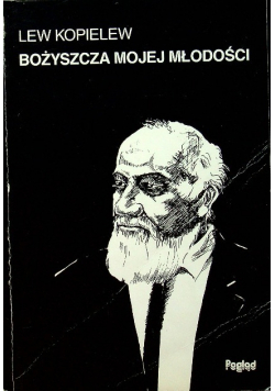 Bożyszcza mojej młodości