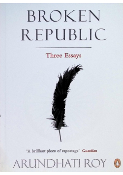 Broken Republic