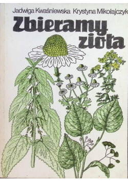 Zbieramy zioła