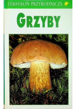 Grzyby