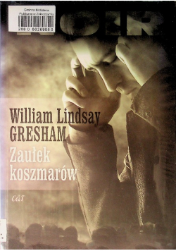 Zaułek koszmarów