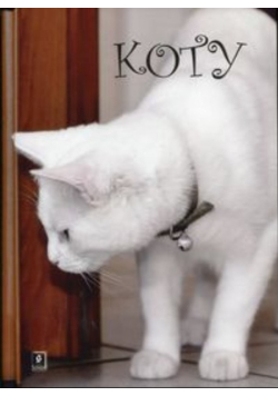 Koty