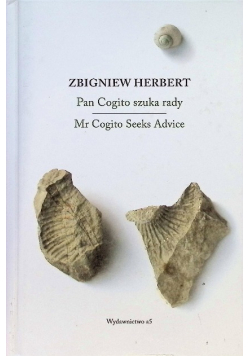 Pan Cogito szuka rady