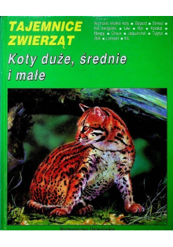 Tajemnice zwierząt koty duże średnie i małe