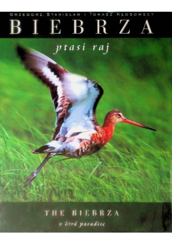 Biebrza Ptasi raj